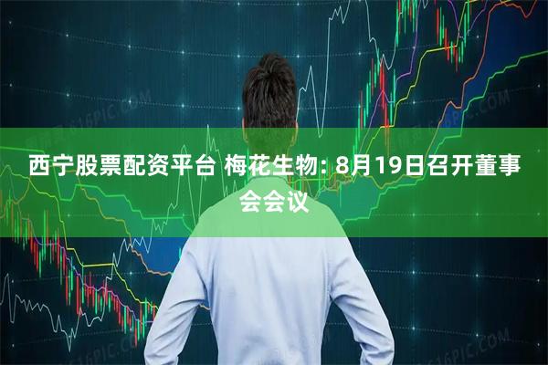 西宁股票配资平台 梅花生物: 8月19日召开董事会会议