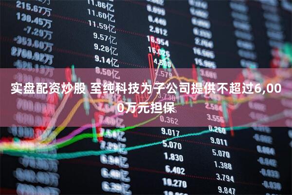 实盘配资炒股 至纯科技为子公司提供不超过6,000万元担保