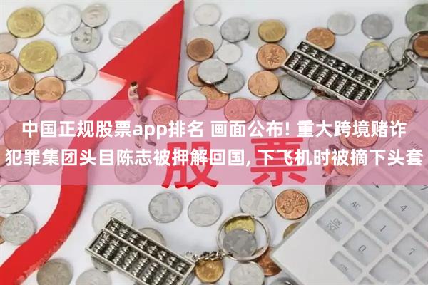 中国正规股票app排名 画面公布! 重大跨境赌诈犯罪集团头目陈志被押解回国, 下飞机时被摘下头套